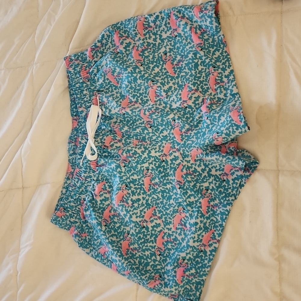 Men's CHUBBIES Swim Trunks